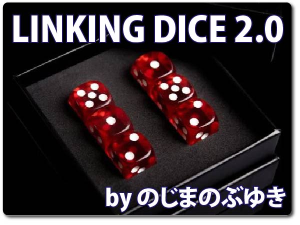 世界が認める傑作！】LINKING DICE 2.0（リンキングダイス２） byのじ